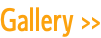 Gallery >>
